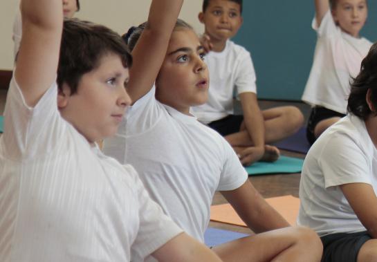 Teaching Yoga to Children with Autism - A Piece of Cake? 